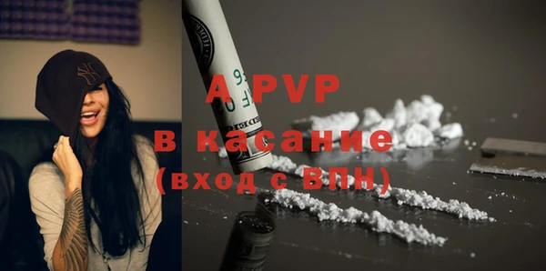 ПСИЛОЦИБИНОВЫЕ ГРИБЫ Покров