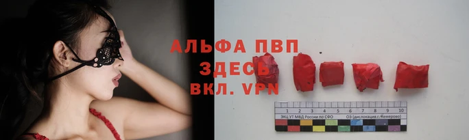 ПСИЛОЦИБИНОВЫЕ ГРИБЫ Покров