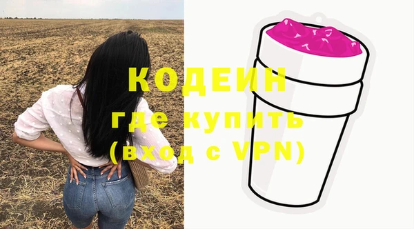 дурь Пересвет